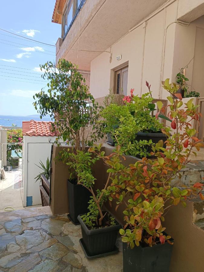 Buganvilla Sea View Apts アギア・ペラギア エクステリア 写真